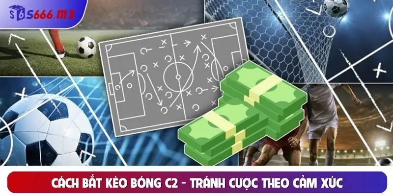 Cách bắt kèo bóng C2 - Tránh cược theo cảm xúc Cách bắt kèo bóng C2 - Tránh cược theo cảm xúc