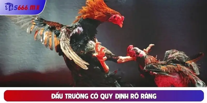 Đấu trường có quy định rõ ràng Đấu trường có quy định rõ ràng