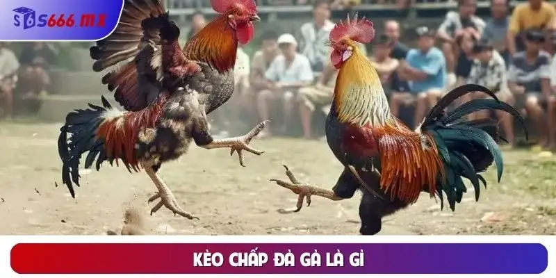 Định nghĩa kèo chấp đà gà là gì? Định nghĩa kèo chấp đà gà là gì?