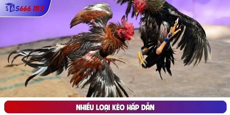 Nhiều loại kèo hấp dẫn Nhiều loại kèo hấp dẫn